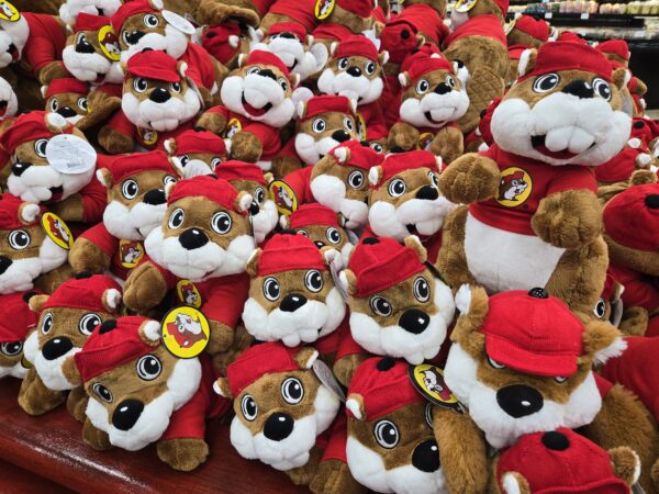 buc-ee the beaver plush